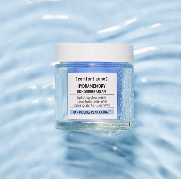 Hydramemory Rich Sorbet Cream